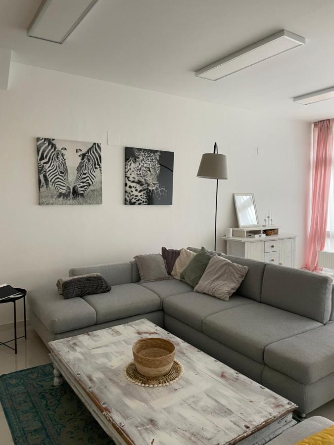 Stadtsuite Mit Sauna In Wiener Neustadt 135 M2 Exteriér fotografie